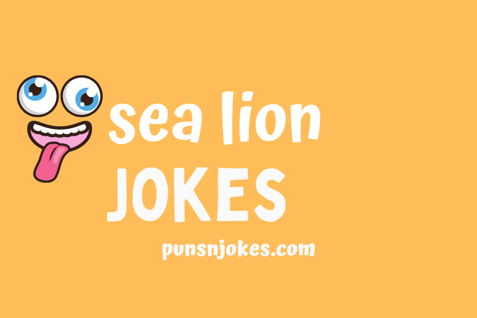 funny sea lion jokes