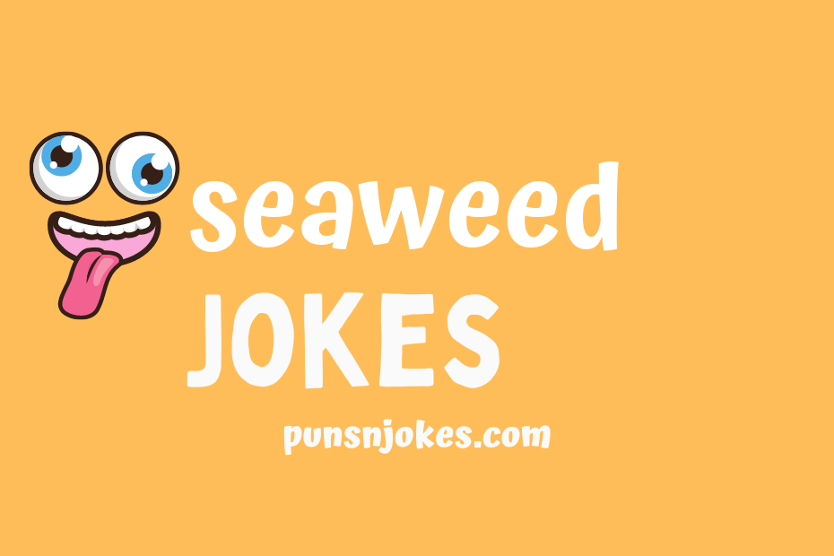 funny seaweed jokes