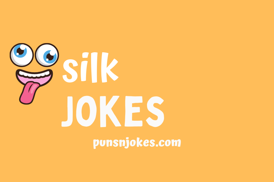 funny silk jokes