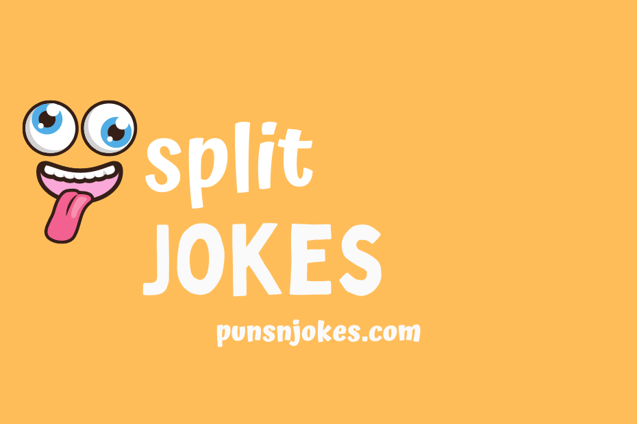 funny split jokes