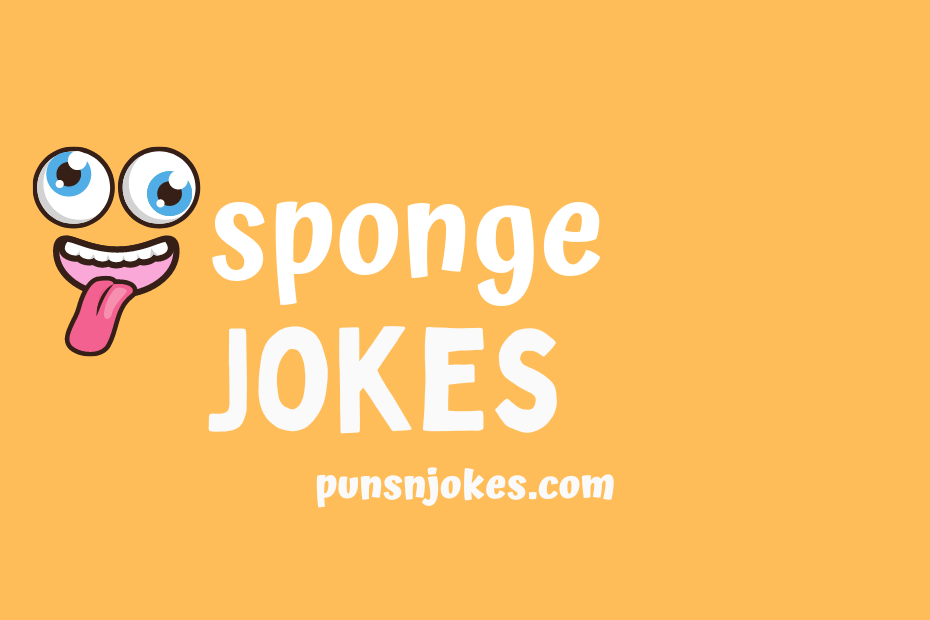 funny sponge jokes