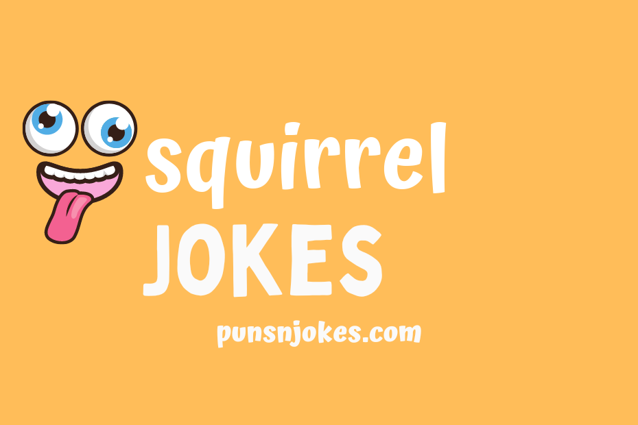 funny squirrel jokes