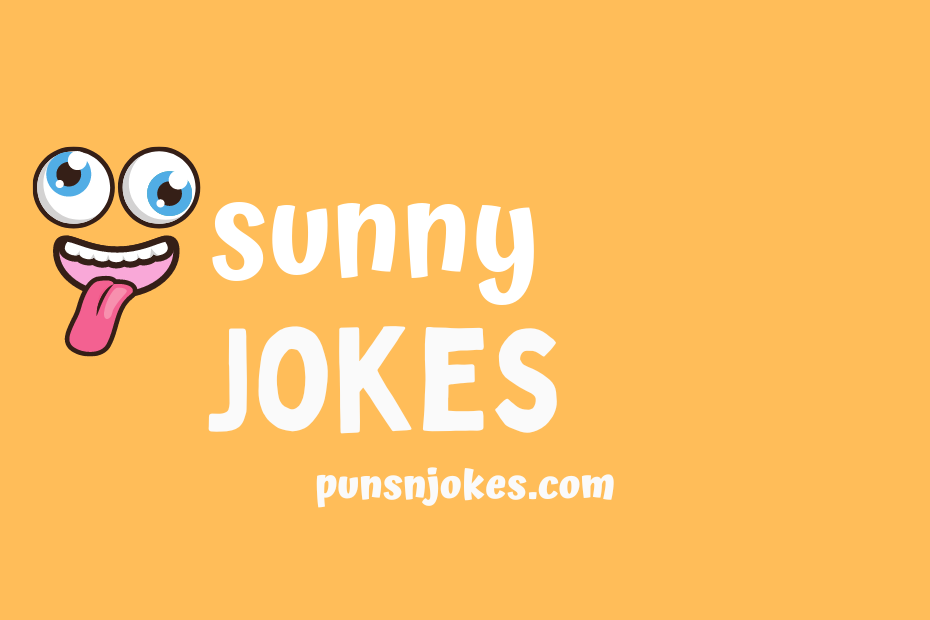 funny sunny jokes