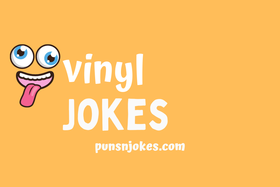 funny vinyl jokes