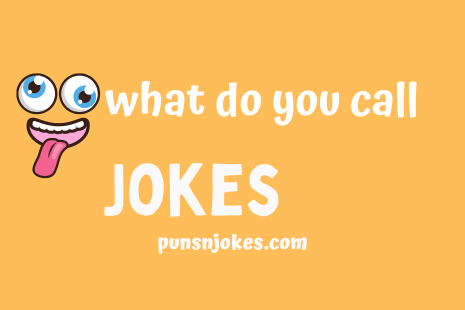 funny what do you call jokes