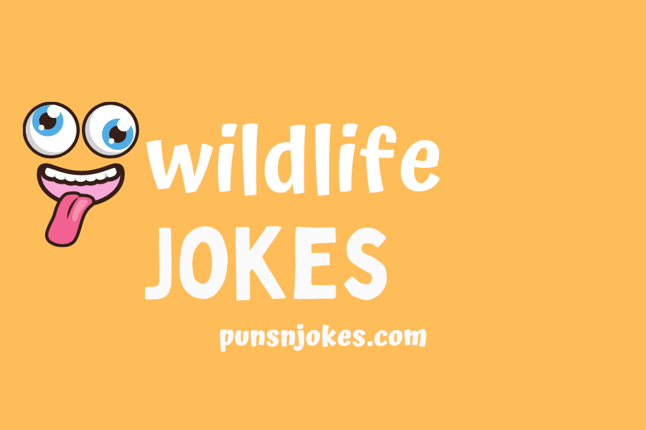 funny wildlife jokes